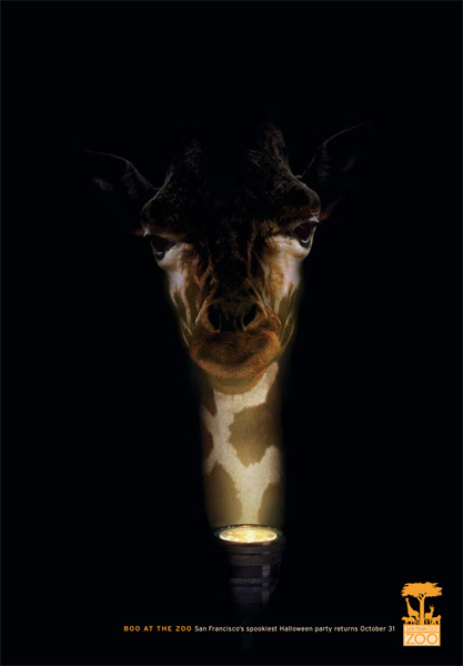   BBDO West  San Fransisco Zoo