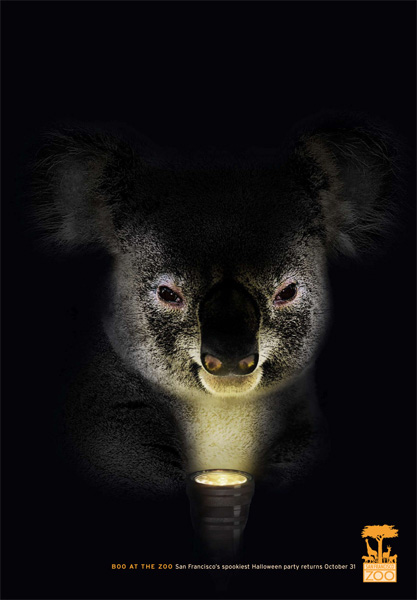   BBDO West  San Fransisco Zoo
