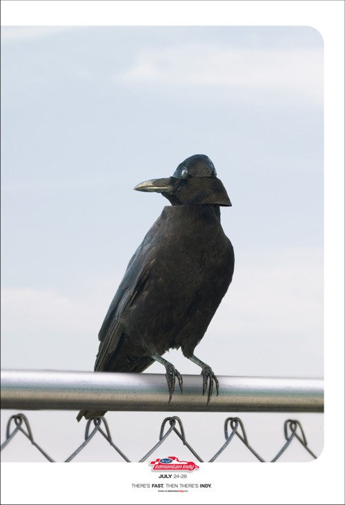 Rexall Edmonton Indy  DDB Canada