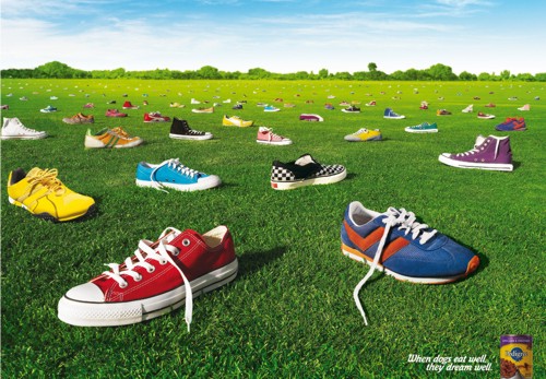   TBWA\RAAD   Pedigree