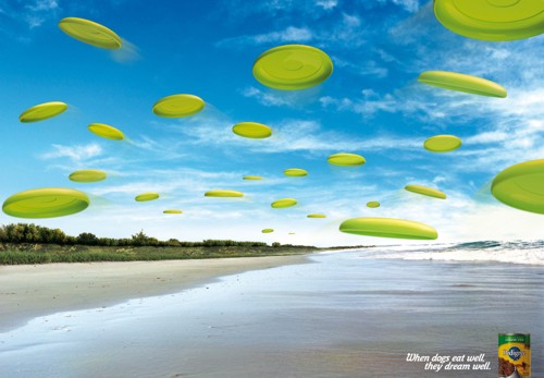   TBWA\RAAD   Pedigree