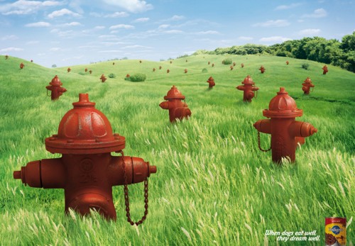   TBWA\RAAD   Pedigree