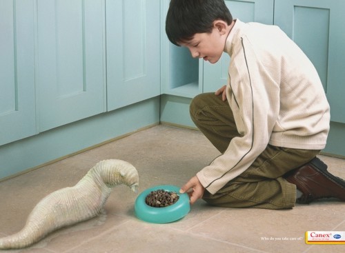 Реклама антигельминтных средств Canex