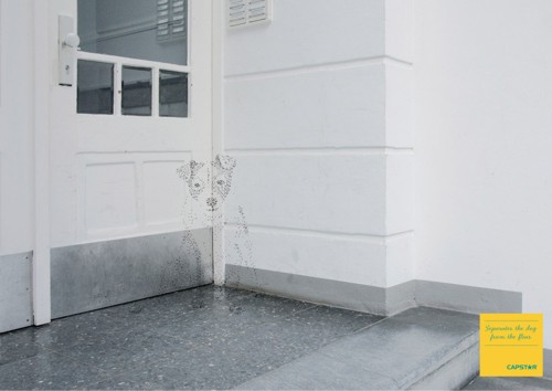 ����� CapStar