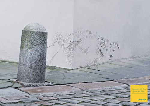 ����� CapStar