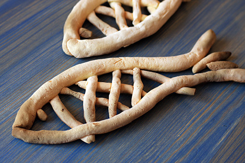 Asgard, забор, рыба, дача