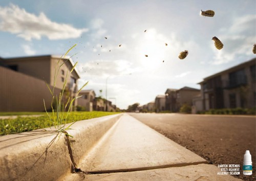 Рекламная кампания Zaditen, австралийское агентство Ward 6, одуванчик, бомбардировка, препарат, аллергия, заболевание