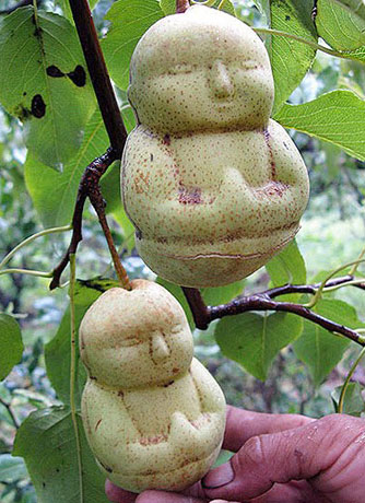 фигурные овощи и фрукты