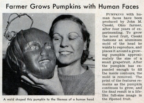 фигурные овощи и фрукты