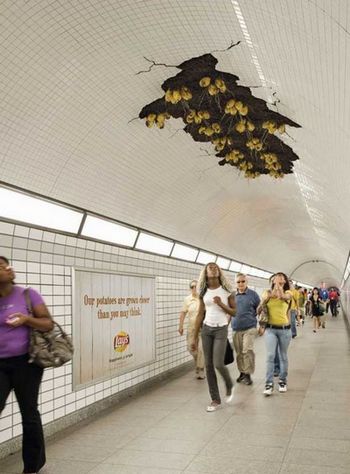 , Lay's, ,  ,   ,  Juniper Park