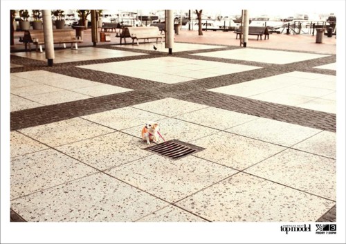   Colenso BBDO, ,  , , TV3, , "  " , , " - ", America's Next Top Model