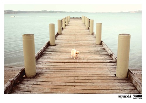   Colenso BBDO, ,  , , TV3, , "  " , , " - ", America's Next Top Model