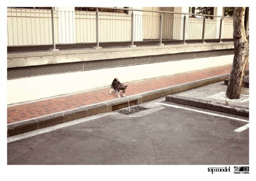   Colenso BBDO, ,  , , TV3, , "  " , , " - ", America's Next Top Model