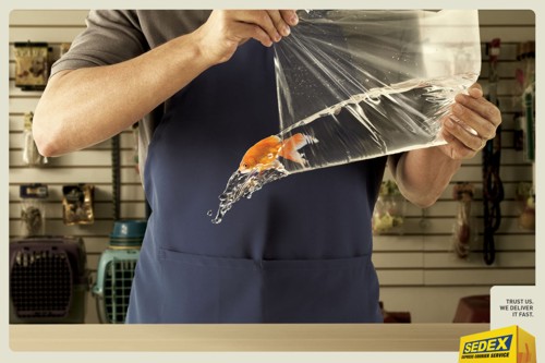 Sedex ,  , , ,  , -, 