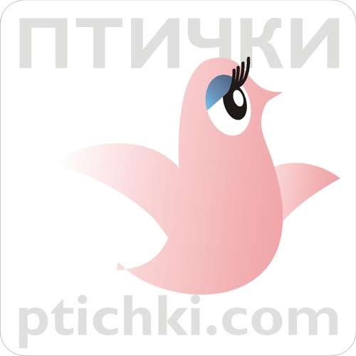 ������� ��� �����������