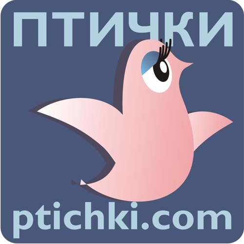 ������� ��� �����������