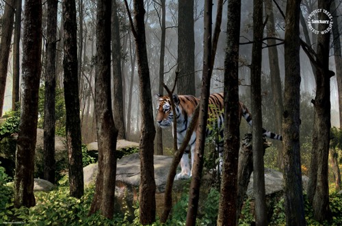 Рекламный принт организации Sanctuary