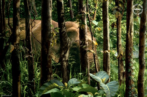 Рекламный принт организации Sanctuary