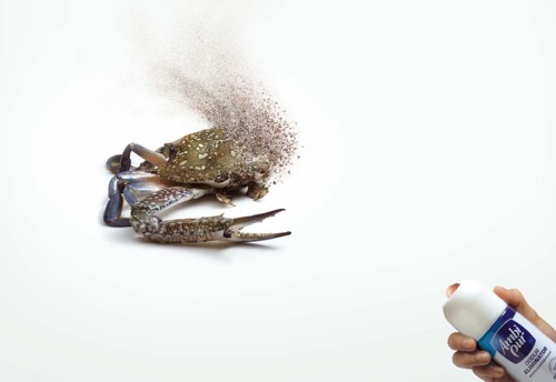   Ambi Pur,  ,  Sara Lee