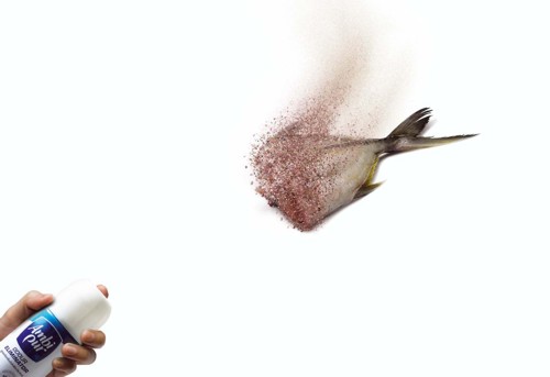   Ambi Pur,  ,  Sara Lee