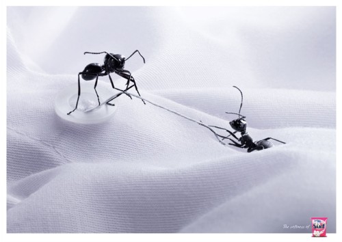 Surf, ,  ,  Unilever, , , ,   Lowe, , 