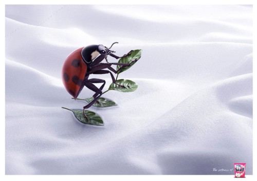 Surf, ,  ,  Unilever, , , ,   Lowe, , 