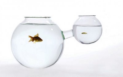 Аквариум Роджера Аркера (Roger Arquer)