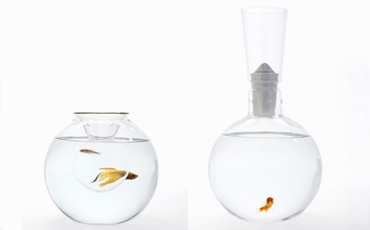 Аквариум Роджера Аркера (Roger Arquer)