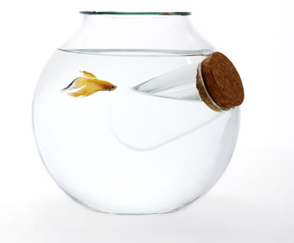 Аквариум Роджера Аркера (Roger Arquer)