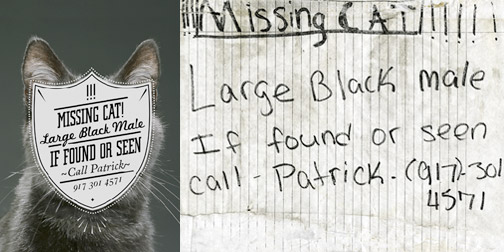 , ,   , Cardon Webb,  , , 