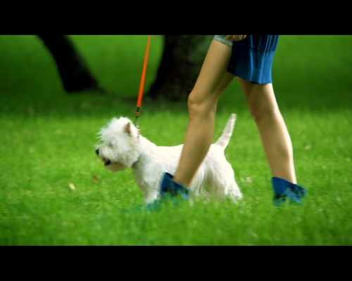 СТС, заставка