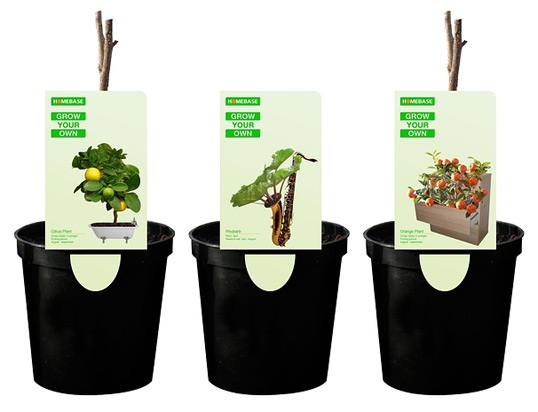 Селекция, воркшоп, D&AD Student Awards, графическая работа, Royal College Of Art Адама Патерсона (Adam Paterson), Санти Тонсуха (Santi Tonsukha)