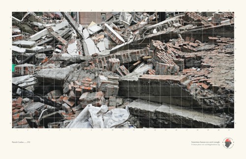 Y&R      (National Disaster Search Dog Foundation)