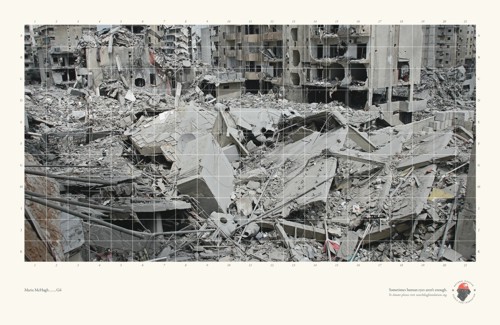 Y&R      (National Disaster Search Dog Foundation)