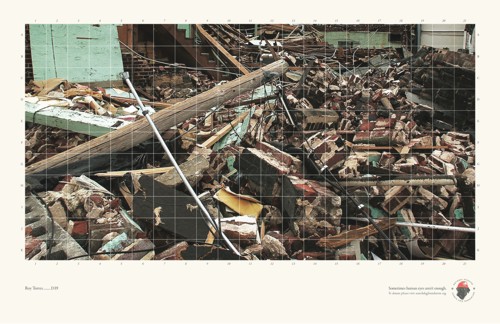 Y&R      (National Disaster Search Dog Foundation)