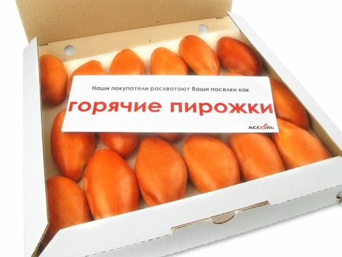 Фото Юрия Троянкина (предоставлены компанией Ассоль Недвижимость)