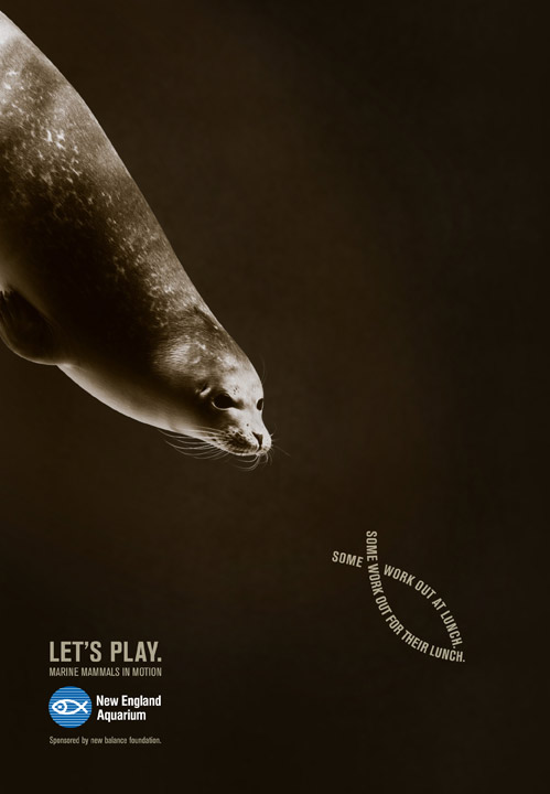 ������� ������, New England Aquarium, ����� ���������� ��������, �����, �������, ������, ���, New England Aquarium