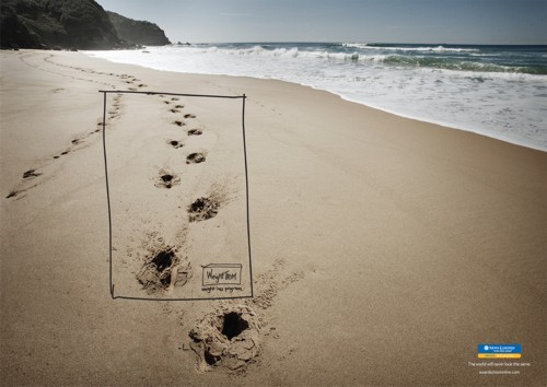  News Limited AWARD School