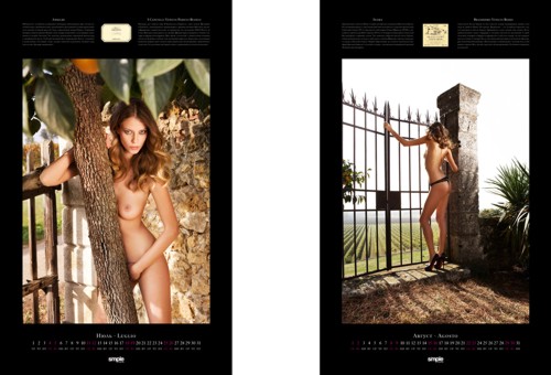 Календарь для виноторговой кампании Simple