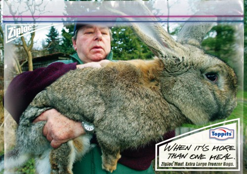 Рекламная кампания Ziploc