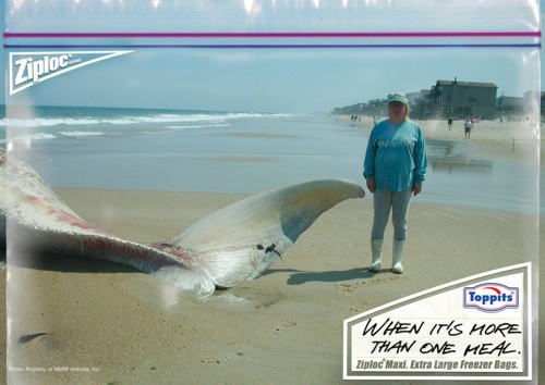 Рекламная кампания Ziploc