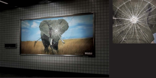 Наружная кампания от китайского JWT