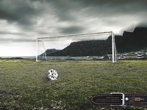 Animal Anti-Cruelty League  Lowe Bull