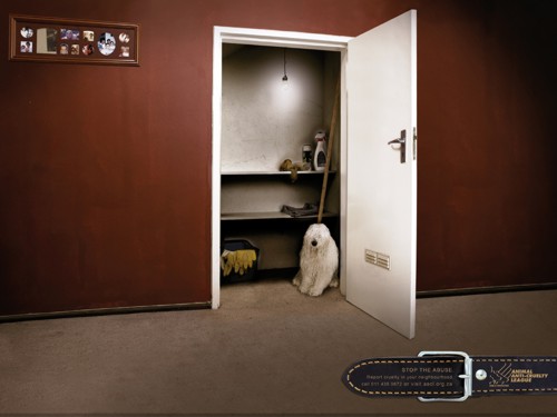 Animal Anti-Cruelty League  Lowe Bull