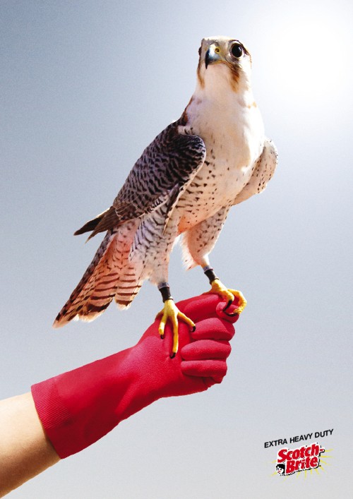 Scotch Brite  Memac Ogilvy