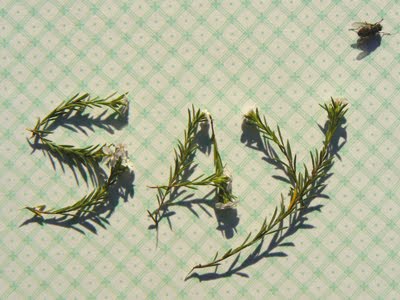 , , , , , , , , , , , , ,  ,  , , , ,  , , , , 