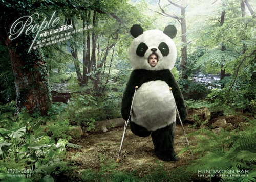 �������� ������������ ����������������� ����������� Fundaciò;n Par