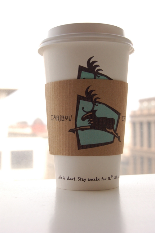 ������������ Caribou Coffee ������ ���� � ���������
