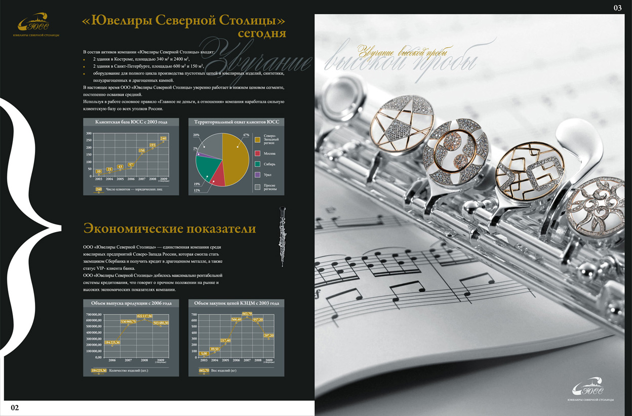 имиджевый проект