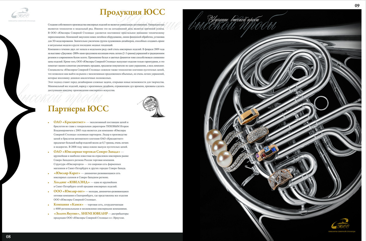 имиджевый проект